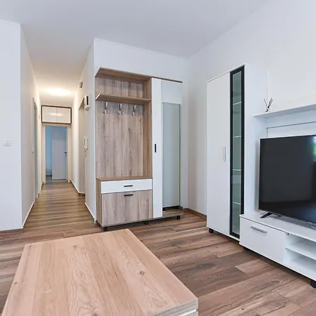 Apartment Dani Icici